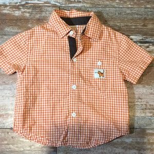 Vintage Gymboree Summer Safari orange gingham tiger shirt 6-12